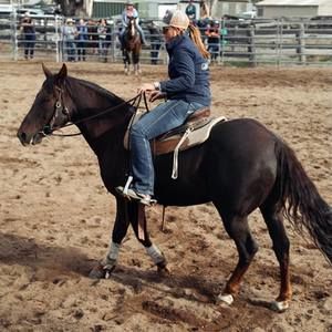 Meet your Posher, Beaudine